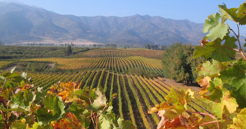 Valle de Colchagua