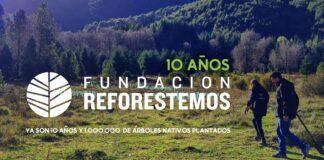 Fundacion reforestemos