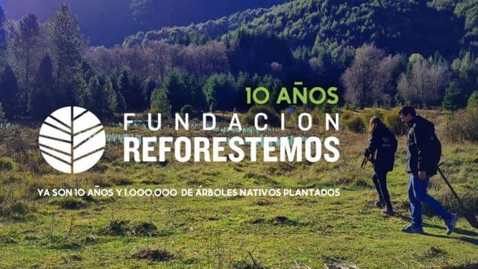 Fundacion reforestemos