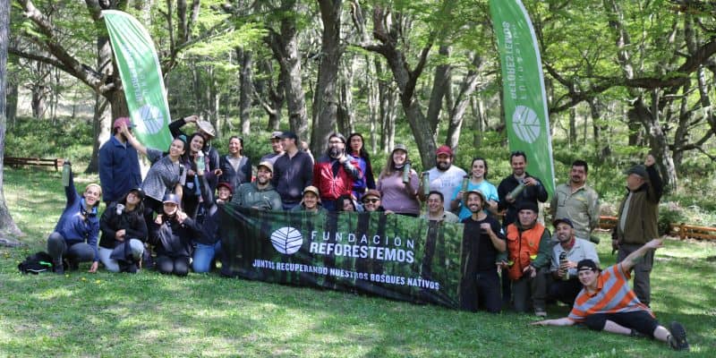 Fundación Reforestemos Chile