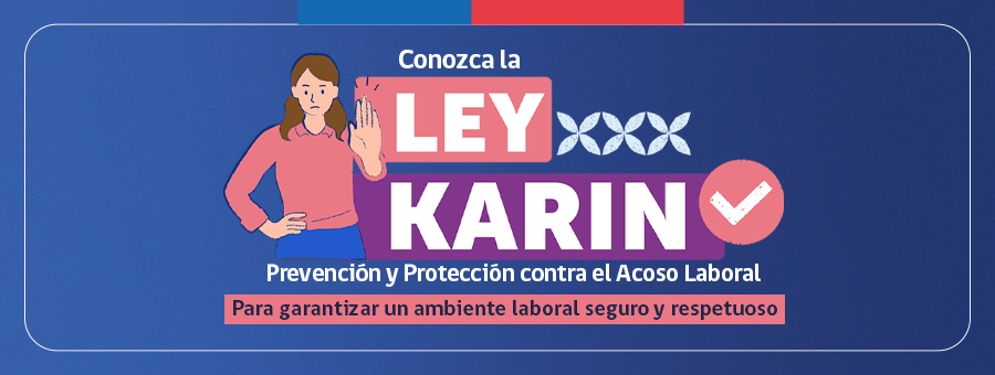 Ley Karin enlace