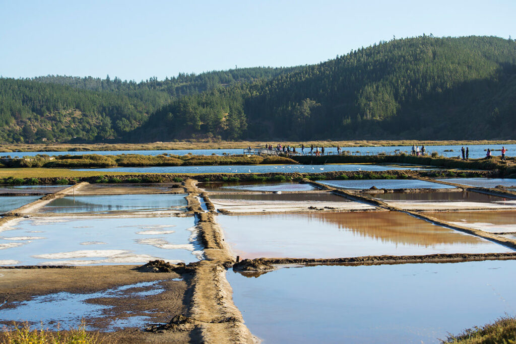 Salinas de Cahuil, Región de O'Higgins